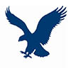 American Eagle E-Gift Card