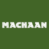 Machaan